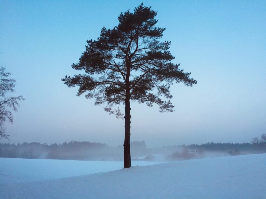 A spontaneous jump into a freezing Lithuanian lake became a year-long cold water challenge that transformed my resilience, breathing, and connection with nature.